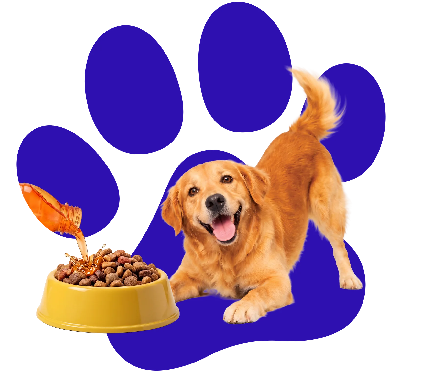 Perro feliz junto a Guau Guau vertido sobre su comida